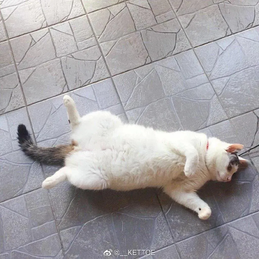Kettoe – NO.01 微博配图[3][19] [67P]插图9